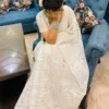 Pure Organza Saree