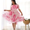 Organza Floral Print Frock