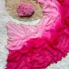 Shaded Soft Georgette Handwork