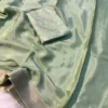 Chinnon Pastel Saree