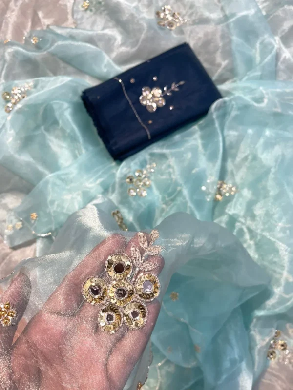 Organza Saree with Mirror Work