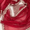 Mirror Work Saree