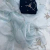 Organza Saree