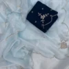 Organza Saree
