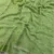 Parrot Green