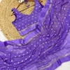 Purple Saree