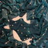 Soft Saree