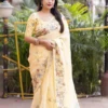 Daily wear saree