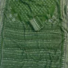 Parrot Green | Kareena kapoor viral saree